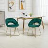 COOLMORE Accent Chairs Set of 2, Velvet Side Chairs with Gold Legs, Mid-Century Upholstered Dining Chairs for Living Room, Kitchen, Bedroom, Beauty Ro