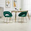 COOLMORE Accent Chairs Set of 2, Velvet Side Chairs with Gold Legs, Mid-Century Upholstered Dining Chairs for Living Room, Kitchen, Bedroom, Beauty Ro